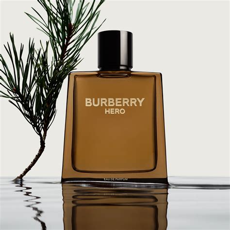 best burberry male perfume|burberry for men 100ml.